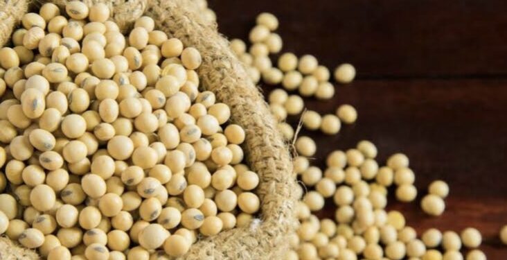 15 नोव्हेंबरपासून 31 खरेदी केंद्रांवर सोयाबीन,मूग व उडीद खरेदीस होणार सुरुवात